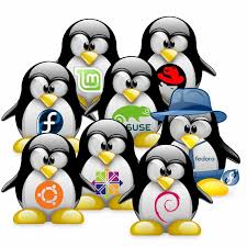 Linux Distros