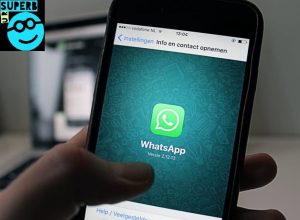 WhatsApp App Free Download for Android Mobile Phone