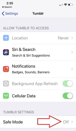 3 Turn on Safe Mode for Tumblr on iPhone
