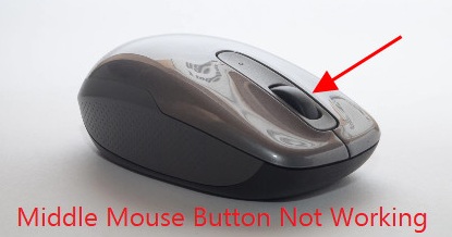 C:\Users\User\Desktop\mouse.jpg