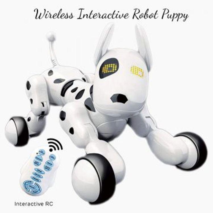 dog remote toy